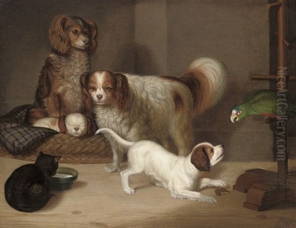 Spaniels, A Cat And A Parrot In An Interior - view 1