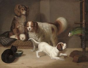 Spaniels, A Cat And A Parrot In An Interior by George Smith of Chichester