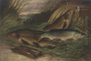 The Day's Catch by A. Harold Smith