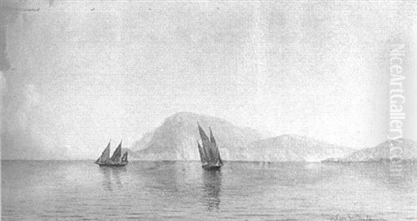Ships Off The Coast At Sunset - view 1