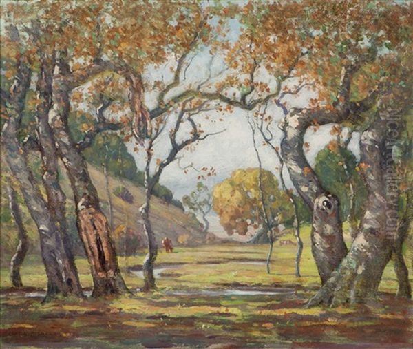 Through The Woods - view 1