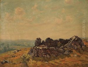New England Summer Landscape
