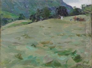 Hayfield Hayfield