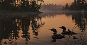 Echo Bay, Loon Family by Daniel Smith