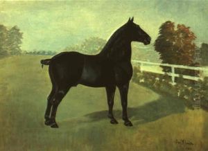 Black Horse In Landscape by Daniel Smith