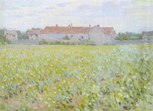 Cottage In A Field - view 1