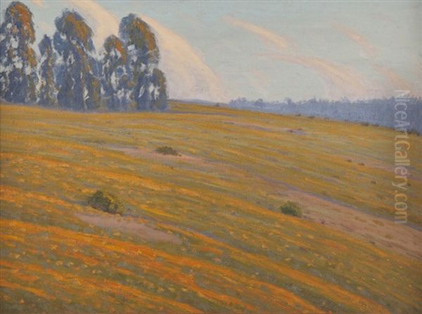 Hillside Landscape With Poppies - view 1