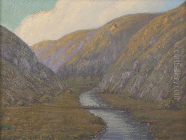 Riparian Landscape - view 1