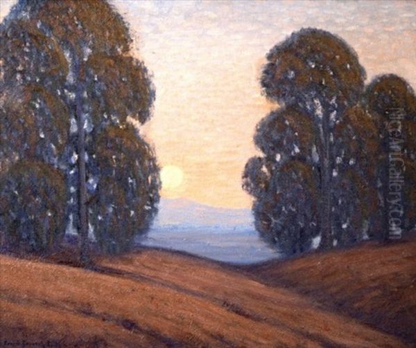 Nocturnal California Landsacpe - view 1