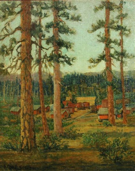 Camp In The Woods - view 1