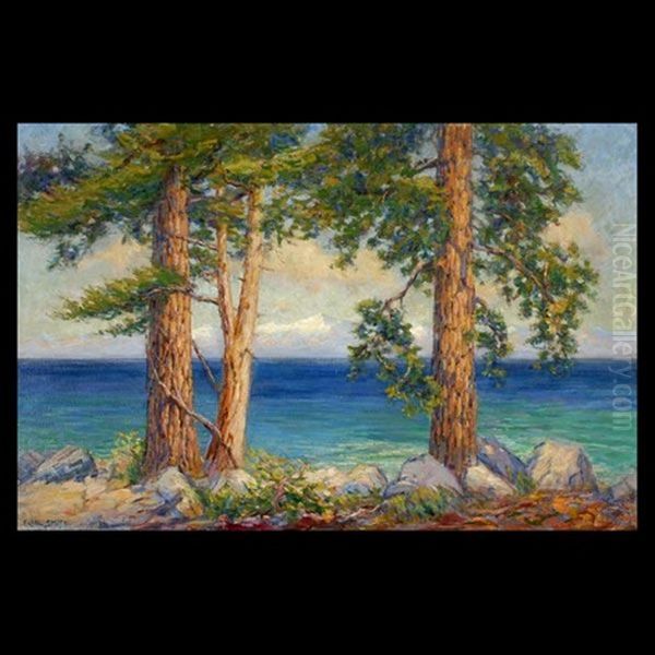 A View Of Lake Tahoe - view 1