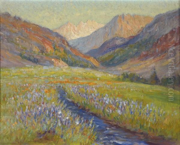 Mountain Meadow / High Sierras - view 1