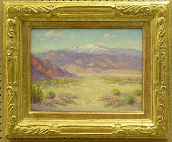 Desert In Spring - view 1
