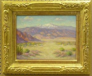 Desert In Spring