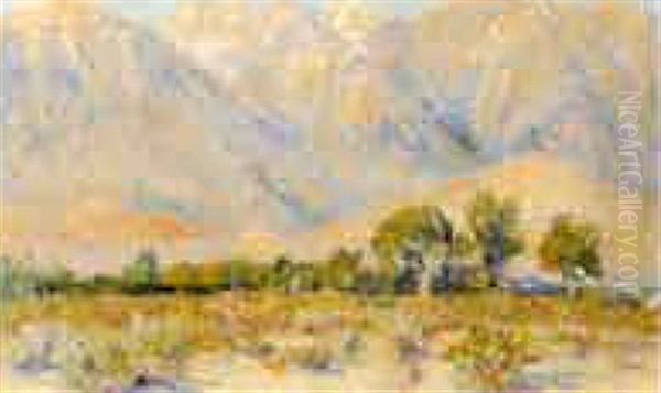 Western Desert Landscape - view 1