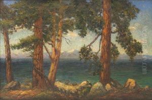 A View Of Lake Tahoe by Frederick Carl Smith