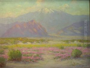 Western Desert Landscape