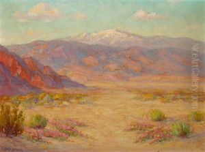 Desert Spring
