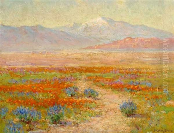 Flowers Of The Desert - Antelope Valley, Mojave, Ca - view 1