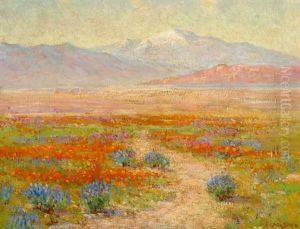Flowers Of The Desert - Antelope Valley, Mojave, Ca Flowers Of The Desert - Antelope Valley, Mojave, Ca