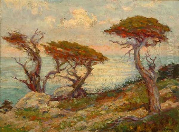 Monterey Cypress - Carmel By The Sea - view 1