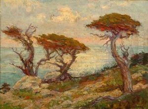 Monterey Cypress - Carmel By The Sea by Frederick Carl Smith