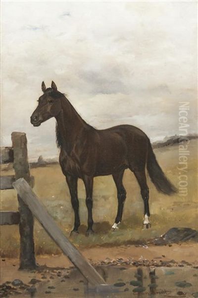 The Horse - view 1