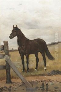 The Horse