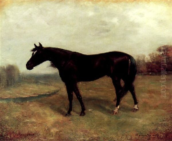 "the Harvester" - view 1
