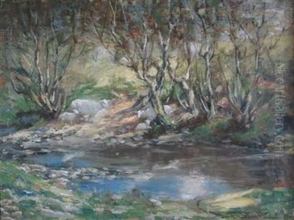 Sheep By The River - view 1