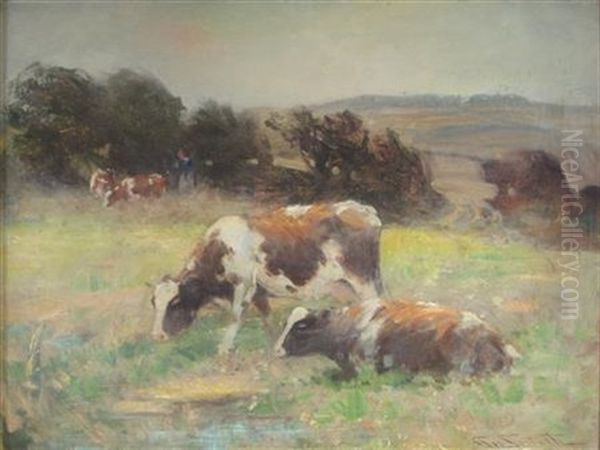 Cows Grazing In A Meadow - view 1