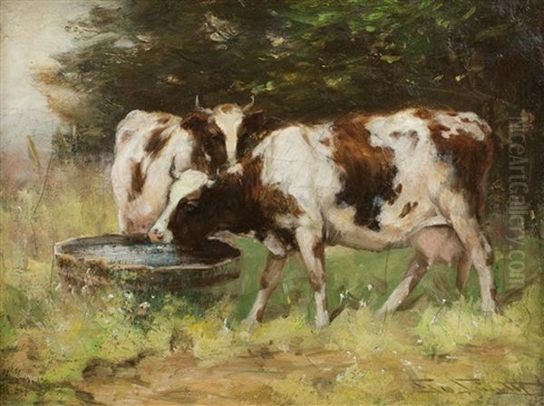 Cattle In Pasture - view 1