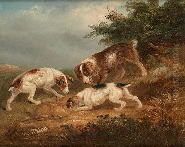 Chiens Terriers - view 1