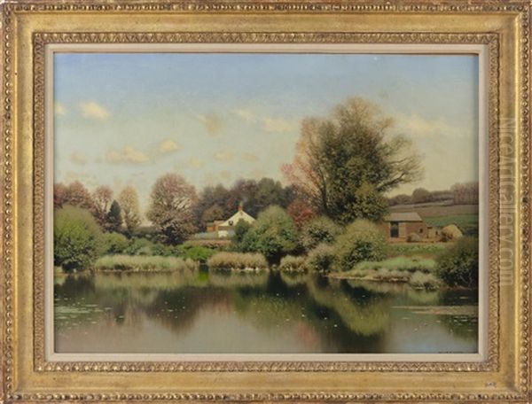 October Morning By The Lily Pond - view 1