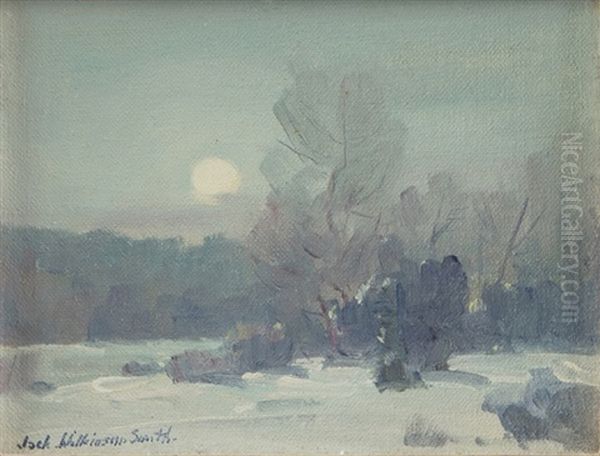 Moonlit Winter Landscape - view 1
