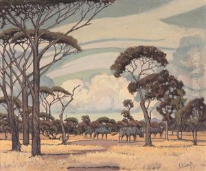 Blou Wildebeeste (blue Wildebeest)