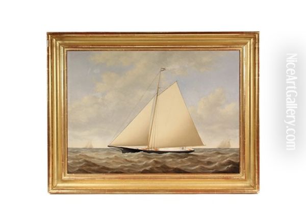 The Sloop Julia Wins The Champion Prize - view 1