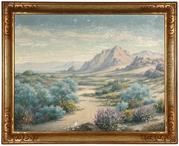 California Desert In The Spring - view 1