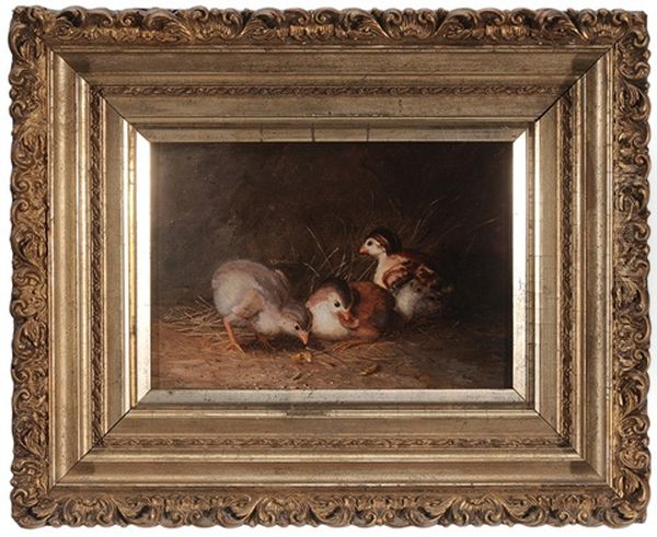 Three Chicks - view 1