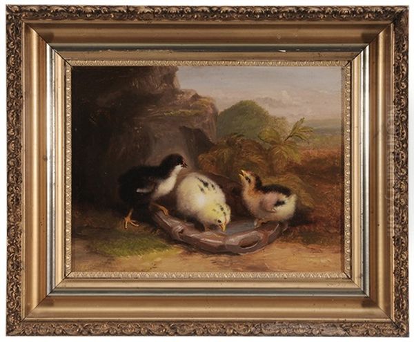 Three Chicks Drinking From An Old Canteen At Gettysburg - view 1