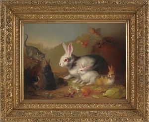 Rabbits And A Kitten