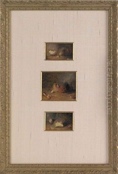 Sketches Of Chickens And Chicks (3 Works In 1 Frame) - view 1