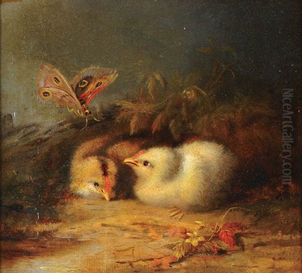 Spring Chicks And Butterfly - view 1