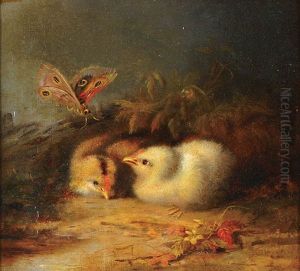 Spring Chicks And Butterfly