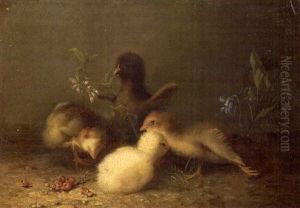 Four Chicks