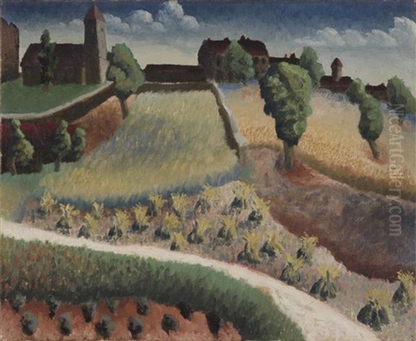 Vineyard In The South Of France - view 1