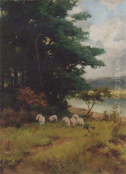 Sheep Grazing In A Wooded River Landscape - view 1