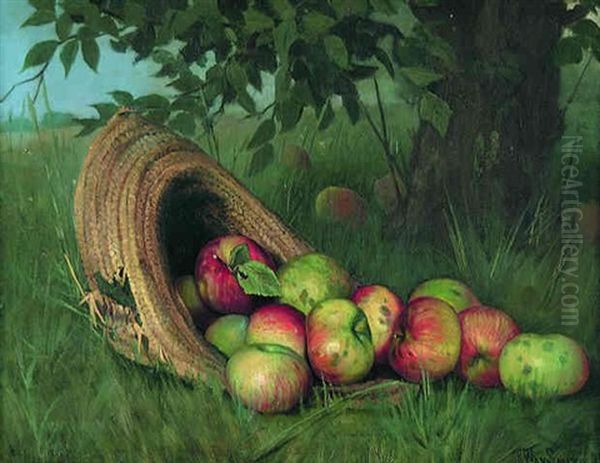Apples And A Straw Hat - view 1
