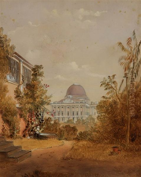 The Capitol From Mr. Elliott's Garden - view 1