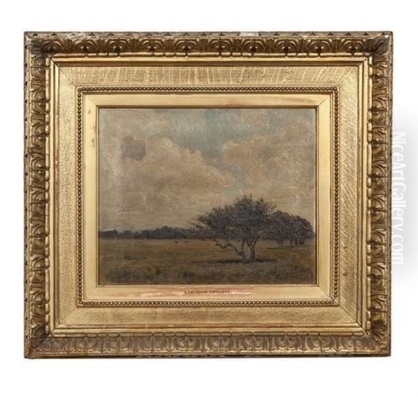 Pasture Scene - view 1